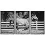 Galloping Forward 3-Piece Framed Printed Wall Art Set in scene
