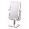 Gannsett Brushed Nickel 3X Magnified Stand Makeup Mirror