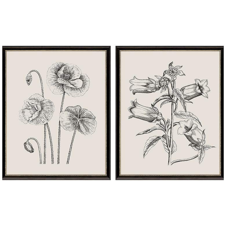 Image 1 Garden Sketch 24"W x 30"H Framed Art Set of 2