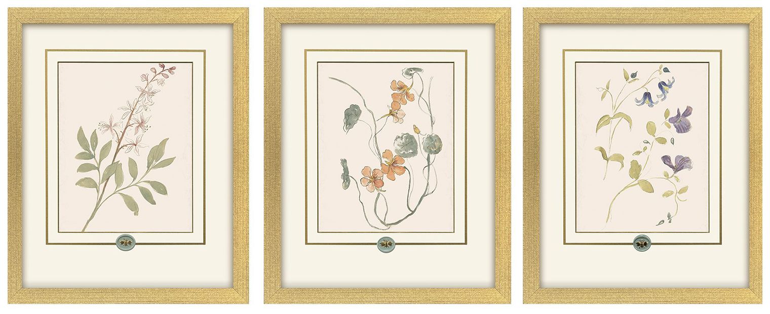 Image 2 Garden Study I 15"W x 18"H Framed Art - Set of 3
