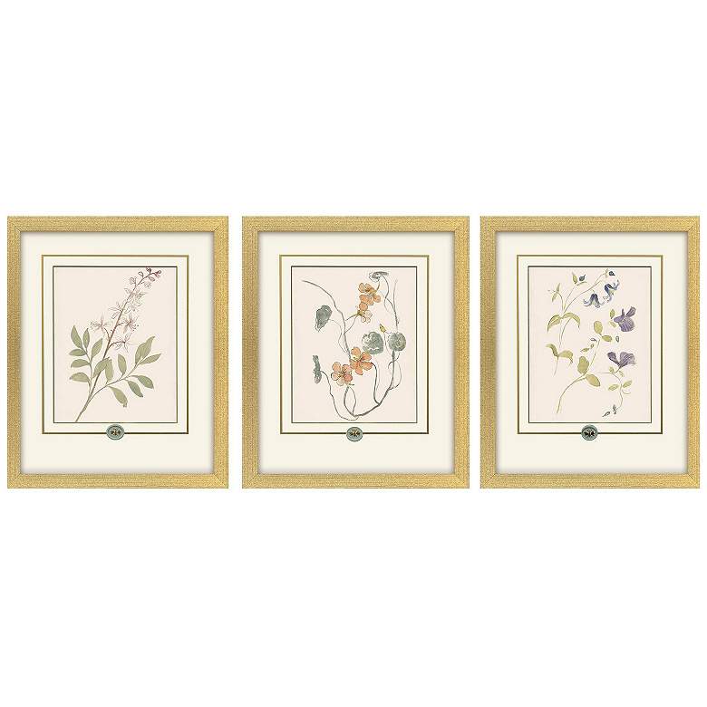 Image 2 Garden Study I 15"W x 18"H Framed Art - Set of 3