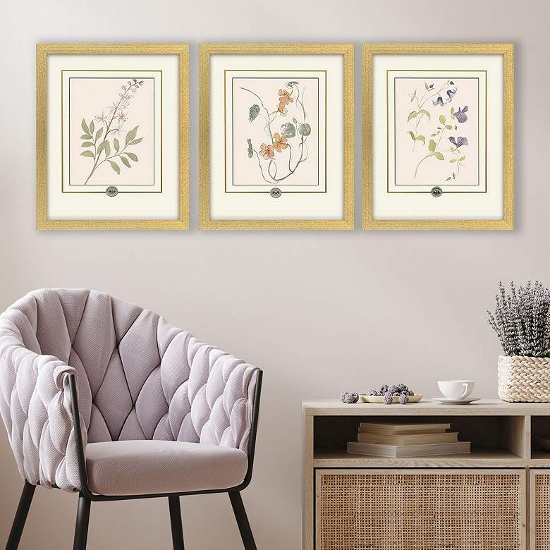 Image 1 Garden Study I 15"W x 18"H Framed Art - Set of 3
