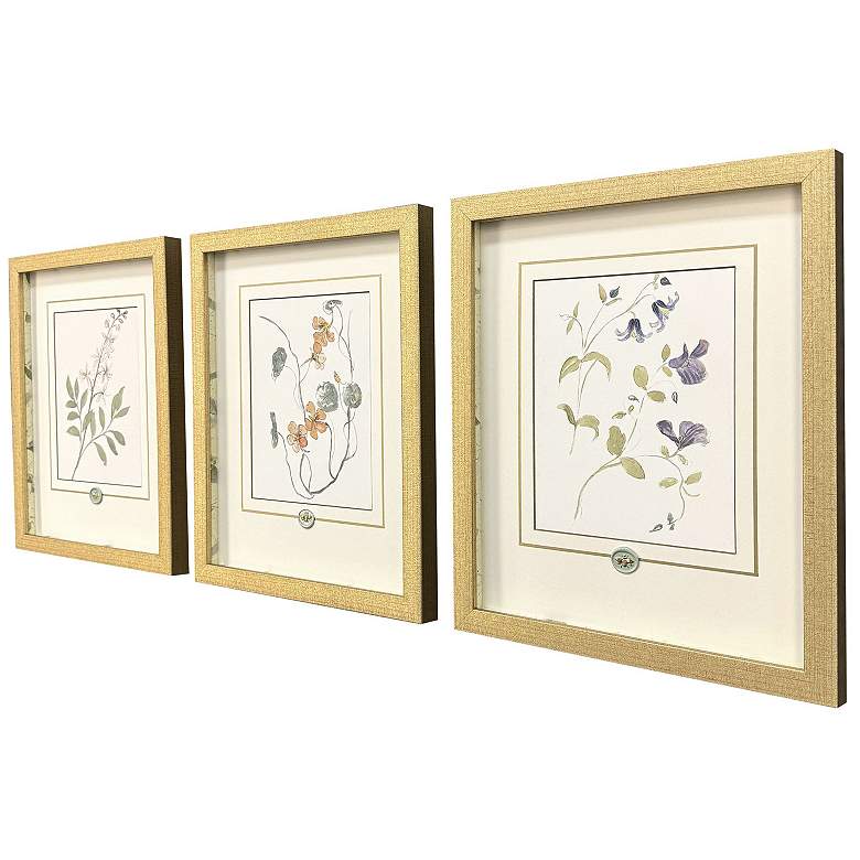 Image 3 Garden Study I 15"W x 18"H Framed Art - Set of 3 more views
