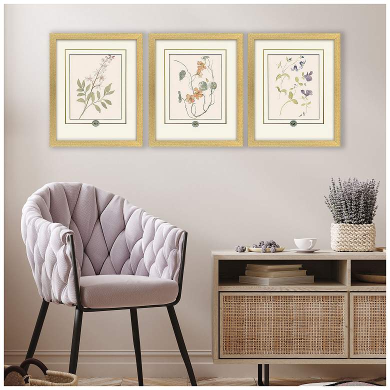 Image 5 Garden Study I 15"W x 18"H Framed Art - Set of 3 more views