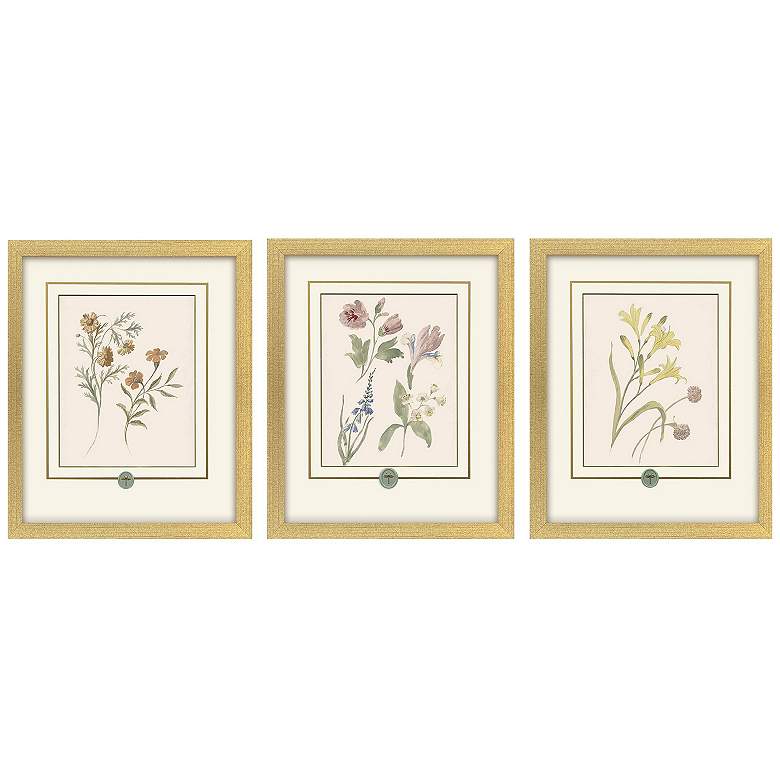 Image 2 Garden Study II 15"W x 18"H Framed Art - Set of 3