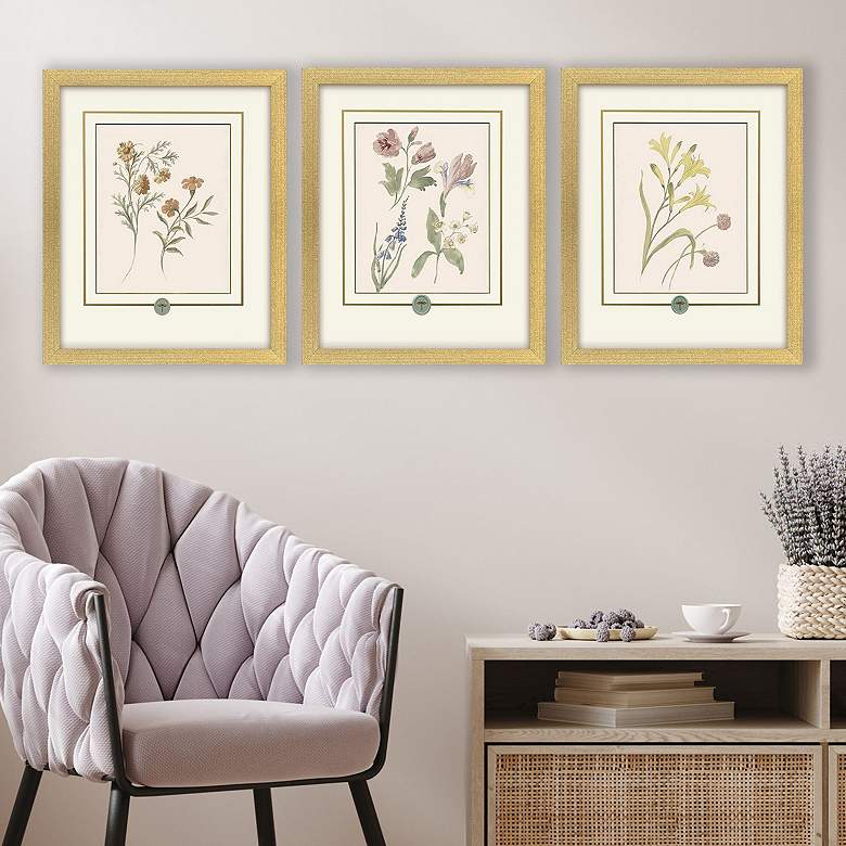 Image 1 Garden Study II 15"W x 18"H Framed Art - Set of 3