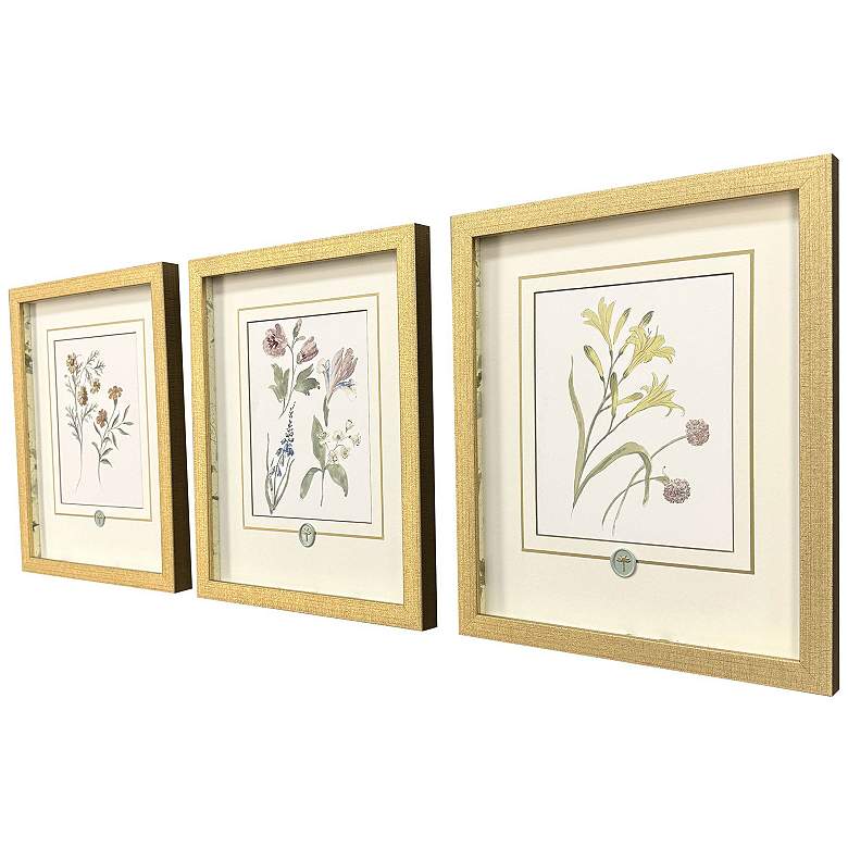 Image 3 Garden Study II 15"W x 18"H Framed Art - Set of 3 more views