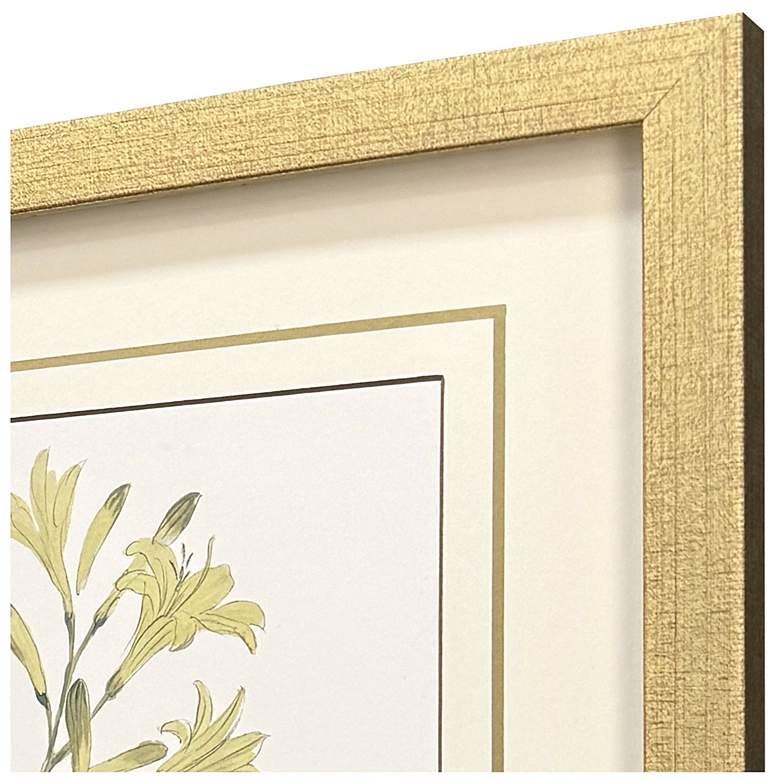 Image 4 Garden Study II 15"W x 18"H Framed Art - Set of 3 more views