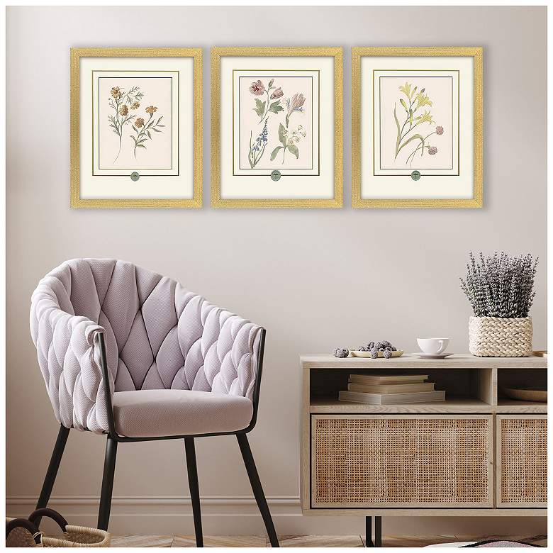 Image 5 Garden Study II 15"W x 18"H Framed Art - Set of 3 more views