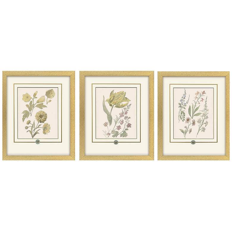 Image 2 Garden Study III 15"W x 18"H Framed Art - Set of 3