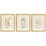 2_Garden Study III 15"W x 18"H Framed Art - Set of 3