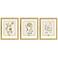 Garden Study III 15"W x 18"H Framed Art - Set of 3