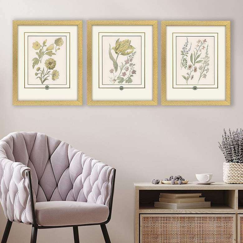 Image 1 Garden Study III 15"W x 18"H Framed Art - Set of 3
