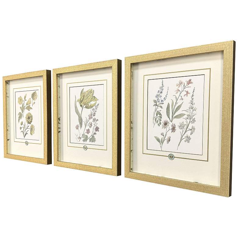 Image 3 Garden Study III 15"W x 18"H Framed Art - Set of 3 more views