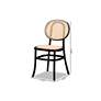 Garold Beige Woven Rattan Black Wood Dining Chairs Set of 2