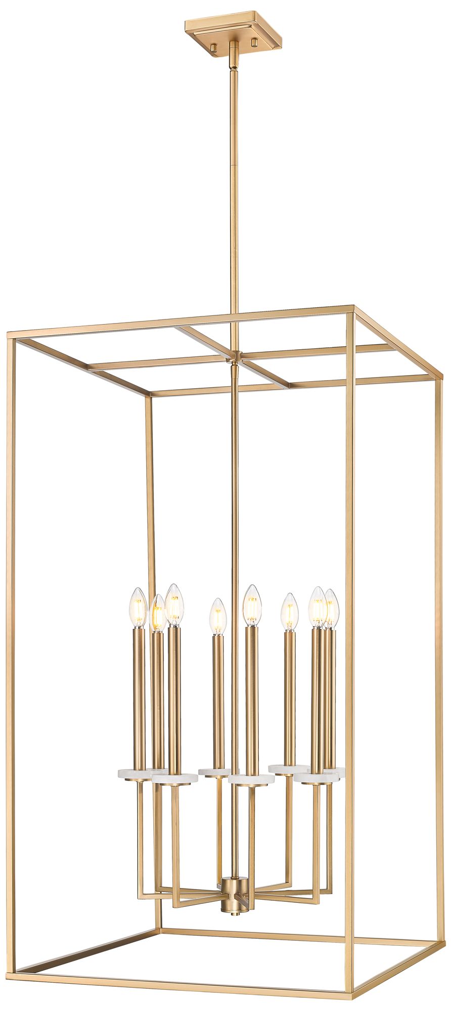 Gaultier by Z-Lite 24 inch Modern Gold 8 Light Chandelier