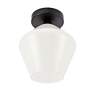 7_Gene 1 Lt Black And Frosted White Glass Flush Mount more views