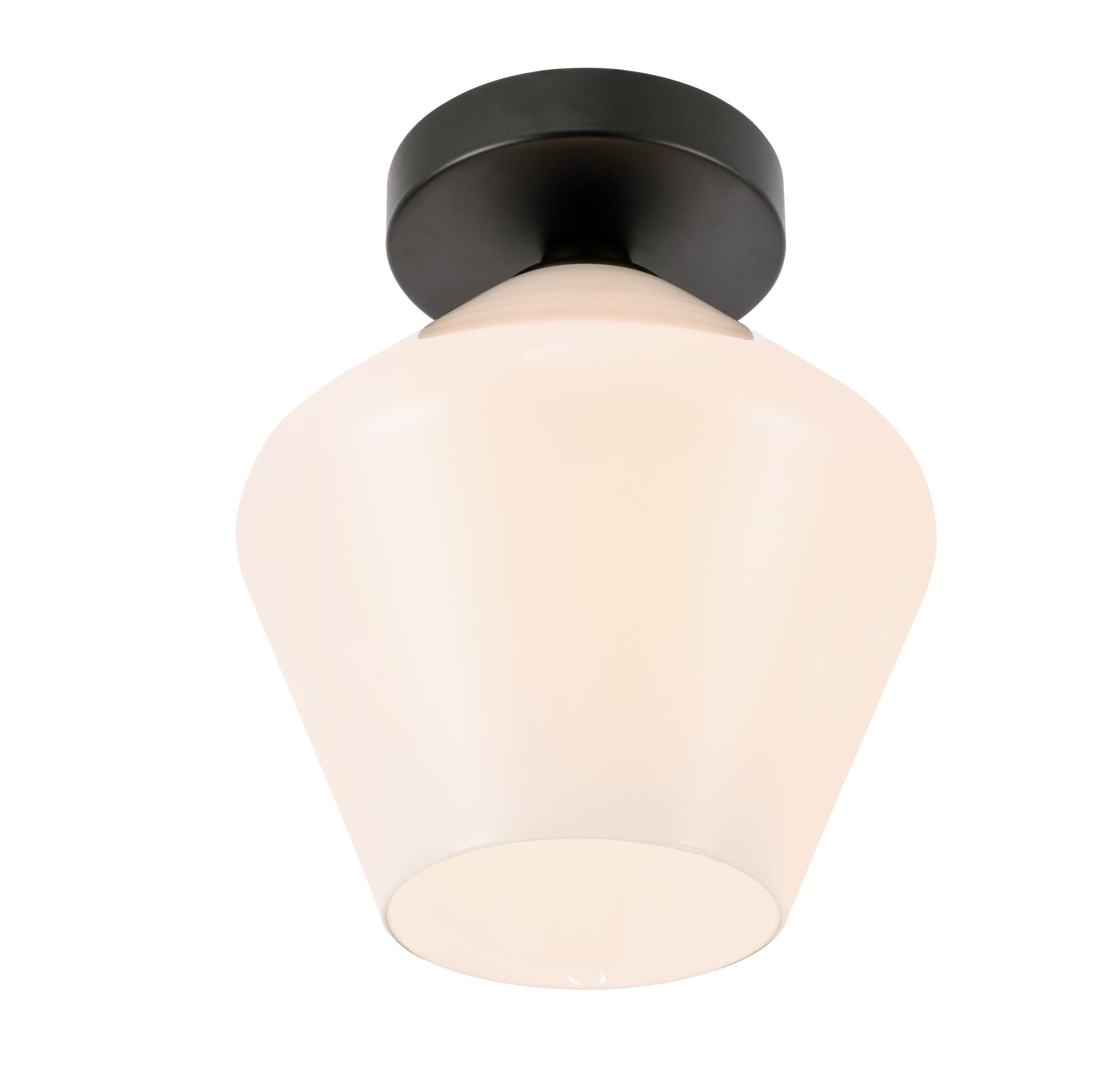 Gene 1 Lt Black And Frosted White Glass Flush Mount