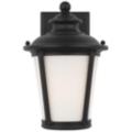 Generation Lighting Cape May Black Collection