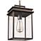 Generation Lighting Chappman 13" Antique Bronze Outdoor Hanging Light