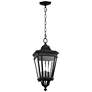 2_Generation Lighting Cotswold Lane 21 1/2" Black Outdoor Hanging Light