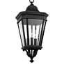 3_Generation Lighting Cotswold Lane 21 1/2" Black Outdoor Hanging Light more views