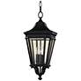 2_Generation Lighting Cotswold Lane 21 1/2" Black Outdoor Hanging Light