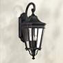 1_Generation Lighting Cotswold Lane 23 3/4" Black Outdoor Wall Light