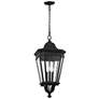 1_Generation Lighting Cotswold Lane 26 1/2" Black Outdoor Hanging Light