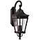 Generation Lighting Cotswold Lane 30" Grecian Bronze Outdoor Light