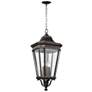 2_Generation Lighting Cotswold Lane 31" Bronze Outdoor Hanging Light