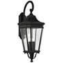 2_Generation Lighting Cotswold Lane 36 1/4" Black Outdoor Wall Light