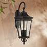1_Generation Lighting Cotswold Lane 36 1/4" Black Outdoor Wall Light
