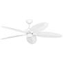 1_Generation Lighting Cruise Outdoor 60 White Fan