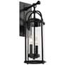 1_Generation Lighting Dakota 20" High Espresso Outdoor Wall Light