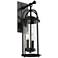 Generation Lighting Dakota 20" High Espresso Outdoor Wall Light
