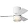Generation Lighting Era 32 Hugger LED A19 White Fan