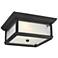 Generation Lighting McHenry 13" Black LED Outdoor Ceiling Light