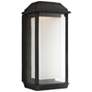 2_Generation Lighting McHenry 17 1/4" High Black LED Outdoor Wall Light