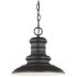 Generation Lighting  Redding Station  A19  12" Black  Outdoor Hanging