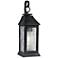 Generation Lighting Shepherd 19" Weathered Zinc Outdoor Wall Light