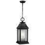 Generation Lighting Shepherd 21" High Dark Zinc Outdoor Hanging Light