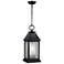 Generation Lighting Shepherd 21" High Dark Zinc Outdoor Hanging Light