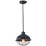 2_Generation Lighting Urban Renewal 10" Iron Cage Mini Pendant Light