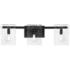 Genry 3-Light Bathroom Vanity Light in Matte Black