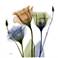 Gentian Buddies 24" Square Tempered Glass Graphic Wall Art