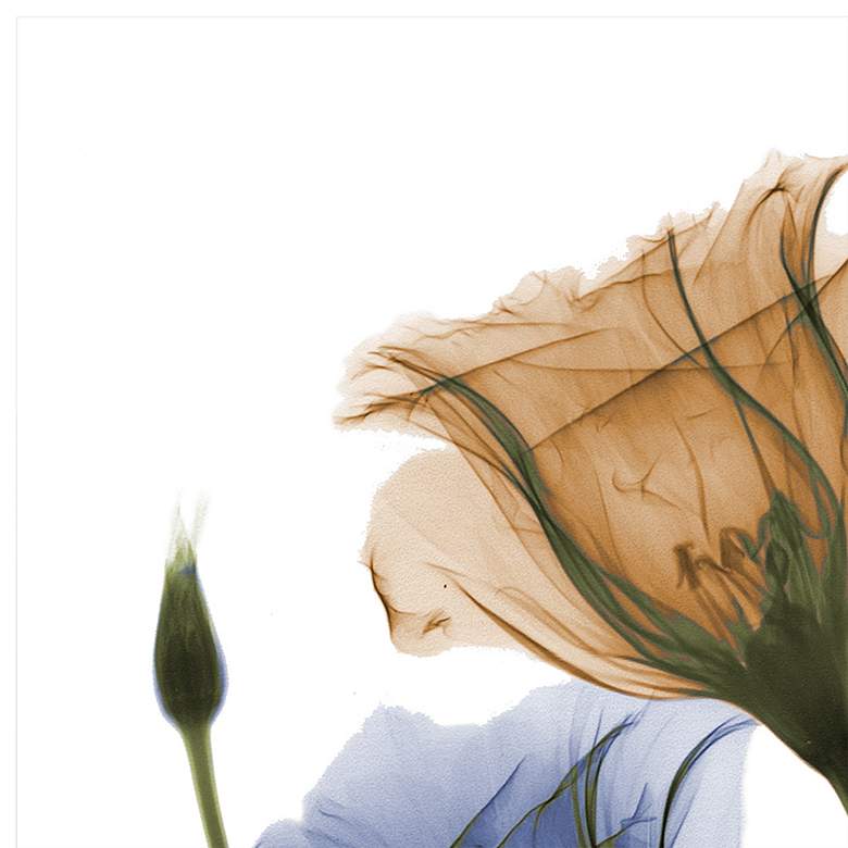 Image 4 Gentian Buddies 24" Square Tempered Glass Graphic Wall Art more views