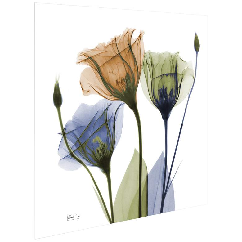 Image 5 Gentian Buddies 24" Square Tempered Glass Graphic Wall Art more views