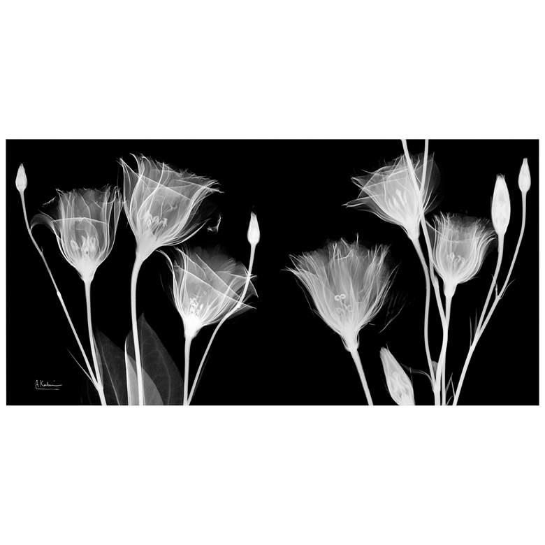 Image 2 Gentian X-Ray 48"W Floating Tempered Glass Graphic Wall Art