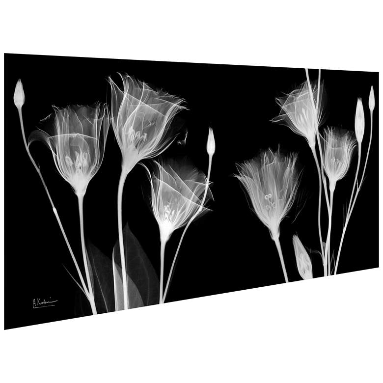 Image 4 Gentian X-Ray 48"W Floating Tempered Glass Graphic Wall Art more views